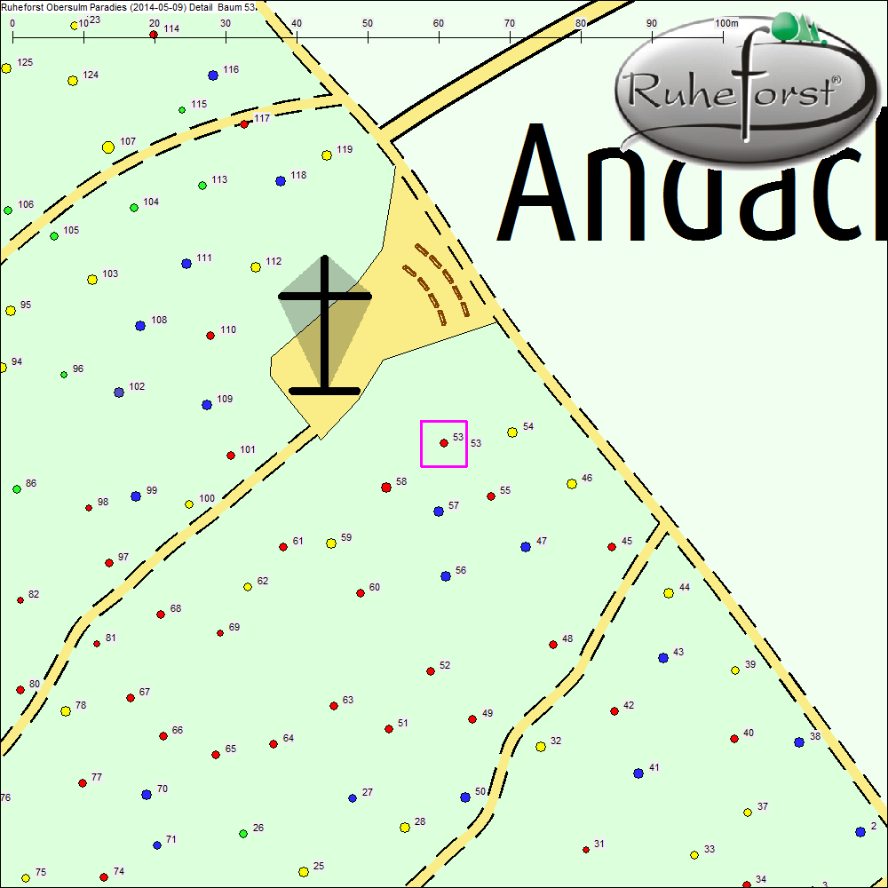 Detailkarte zu Baum 53
