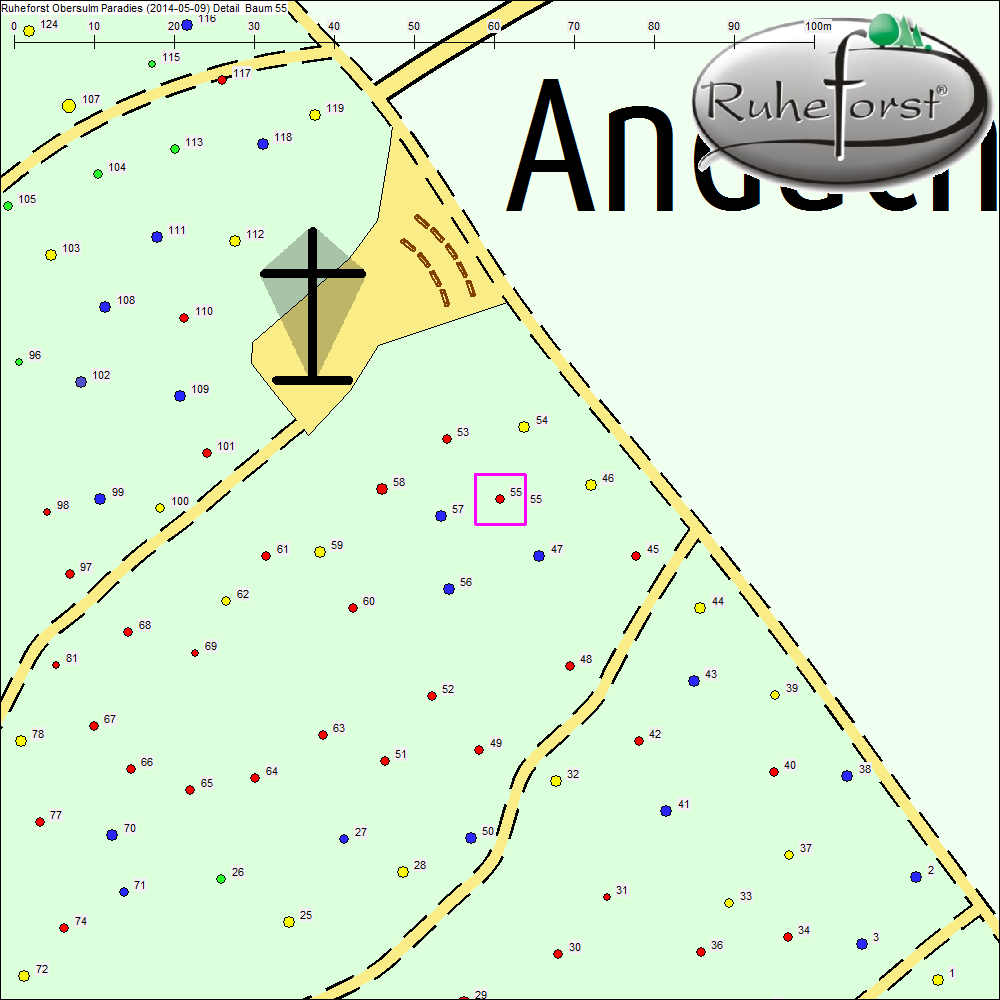Detailkarte zu Baum 55