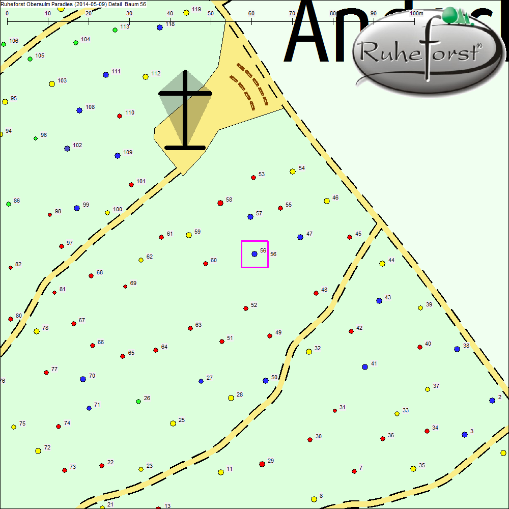 Detailkarte zu Baum 56