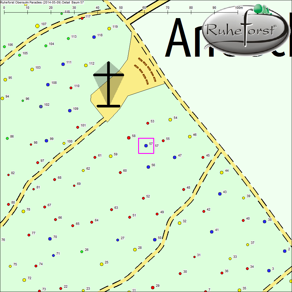 Detailkarte zu Baum 57