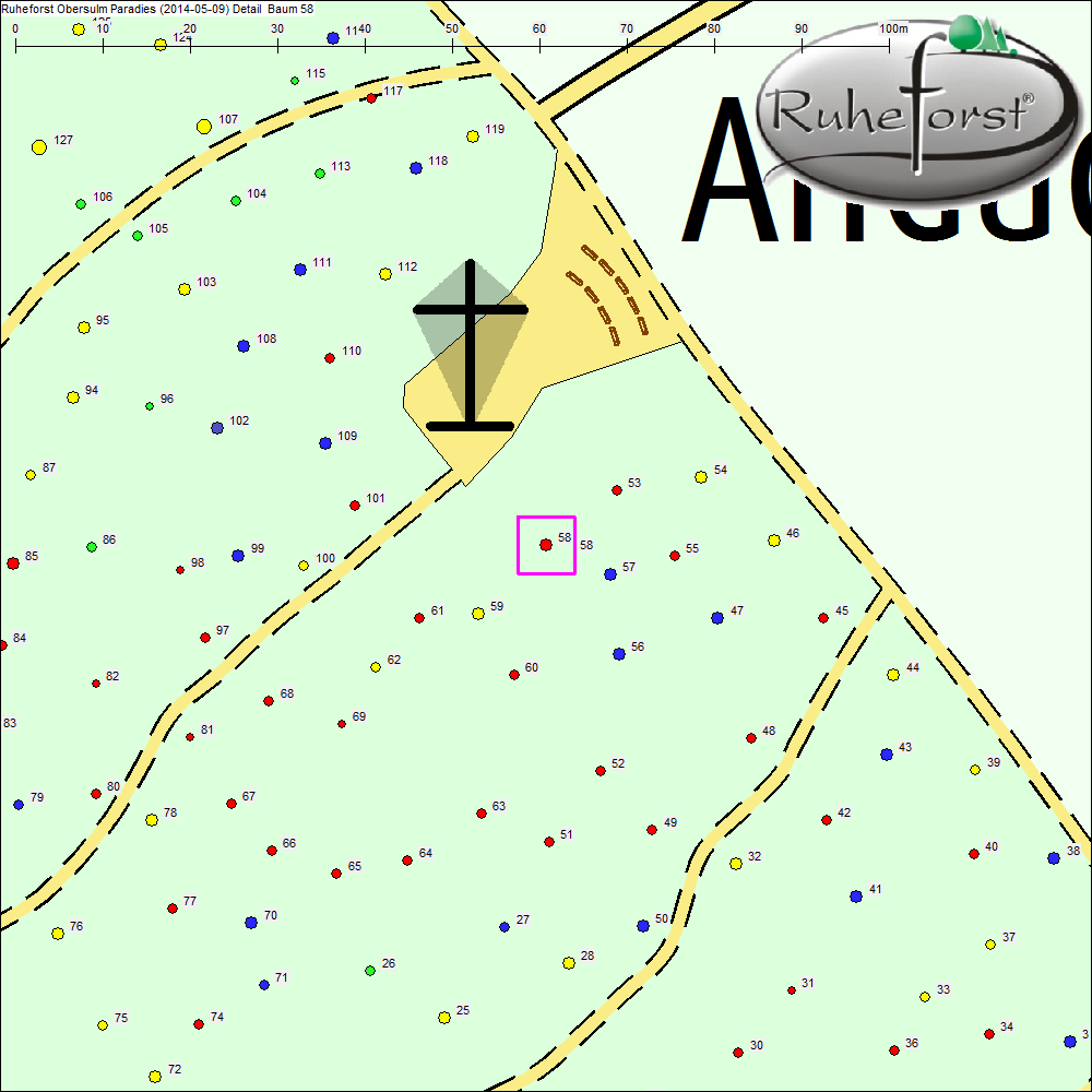 Detailkarte zu Baum 58