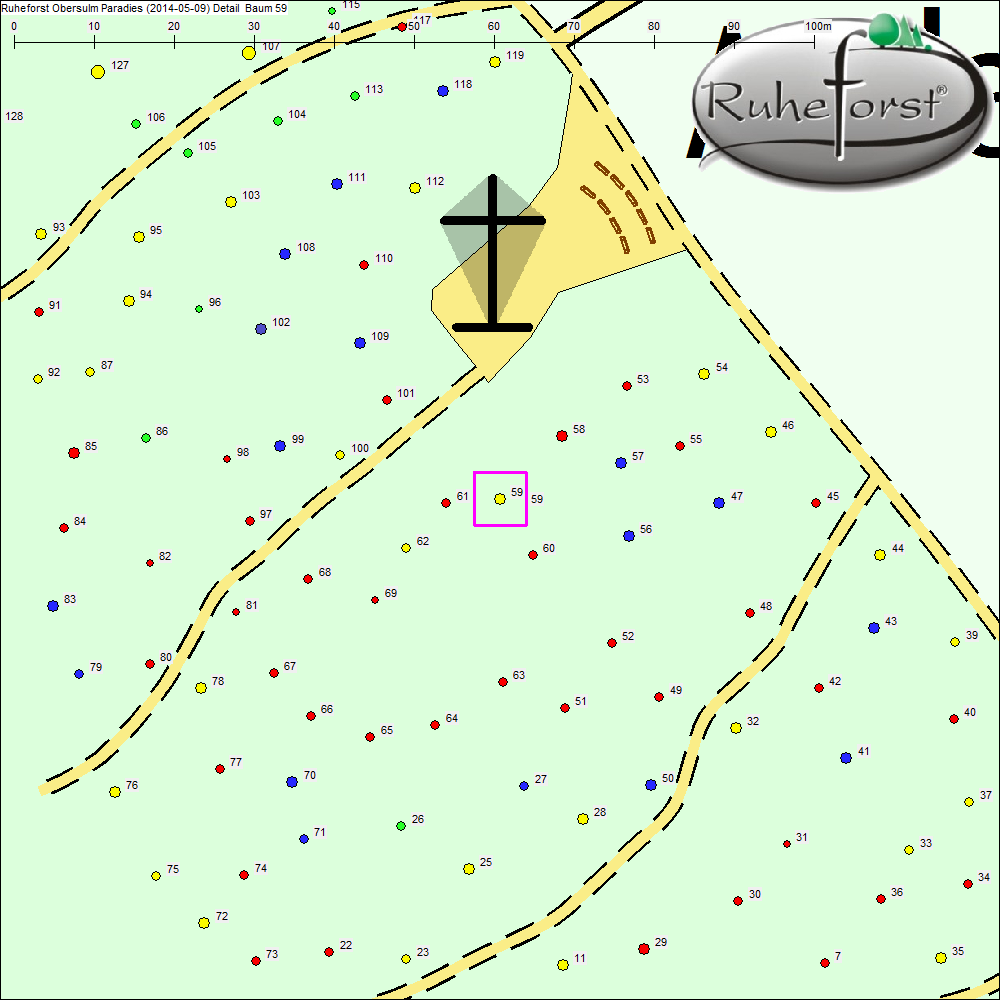 Detailkarte zu Baum 59