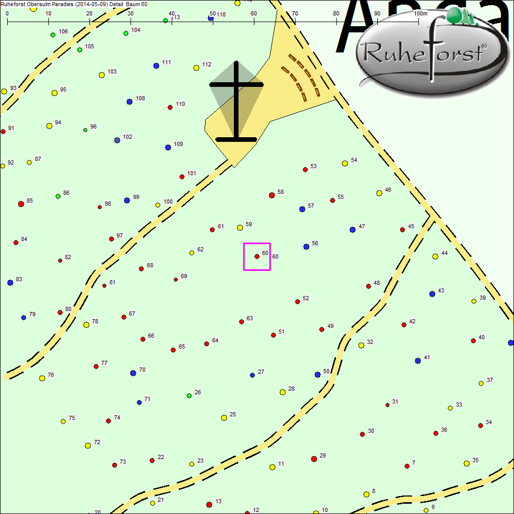 Detailkarte zu Baum 60