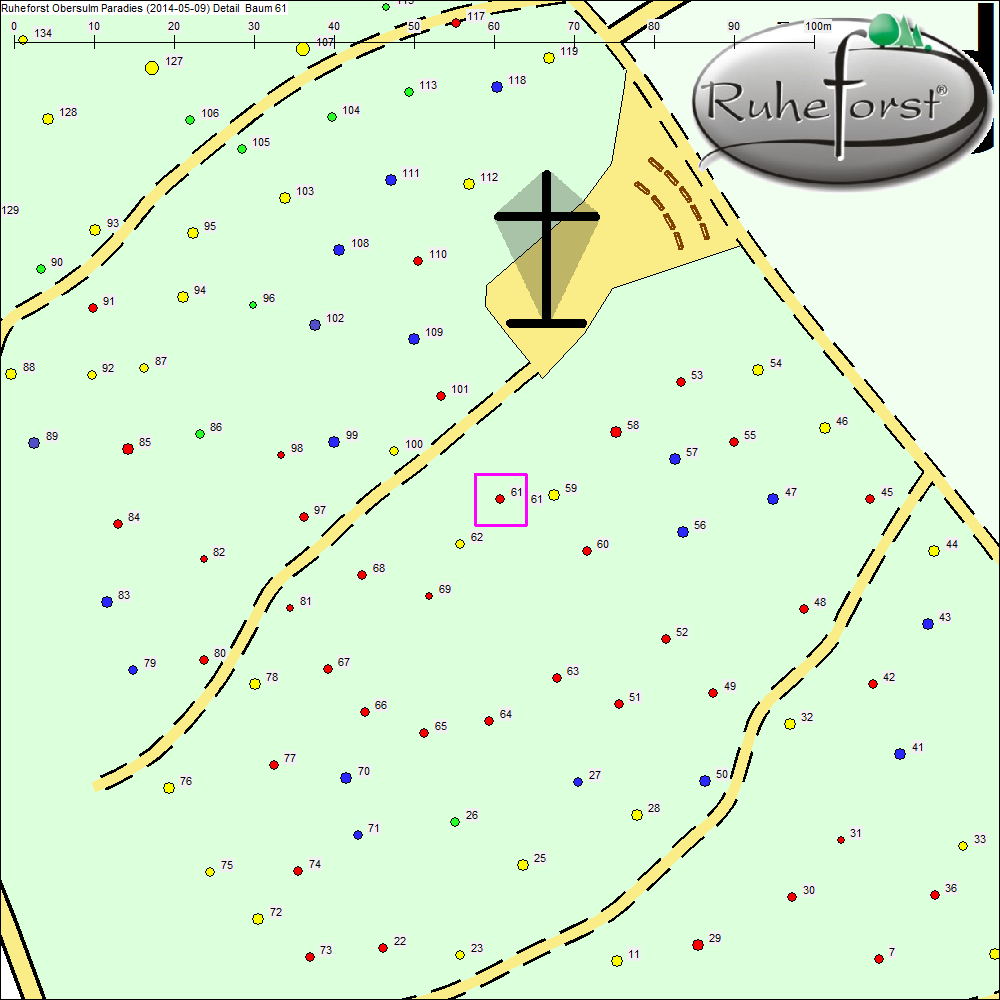 Detailkarte zu Baum 61