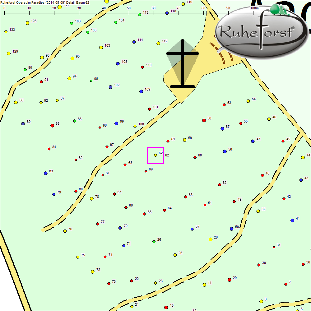 Detailkarte zu Baum 62