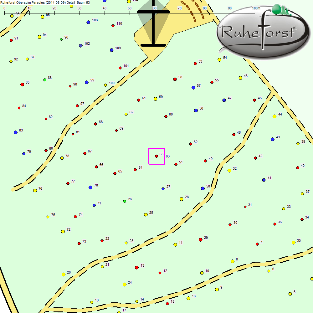 Detailkarte zu Baum 63