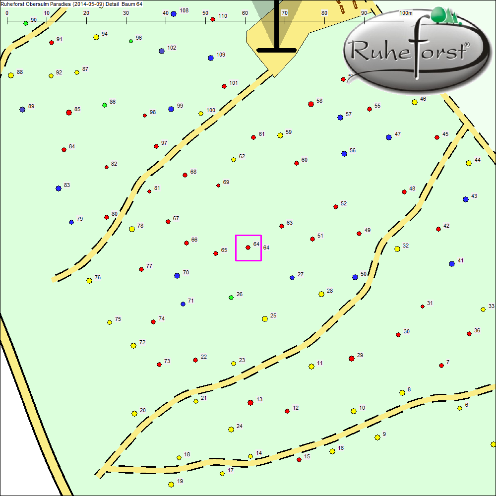 Detailkarte zu Baum 64