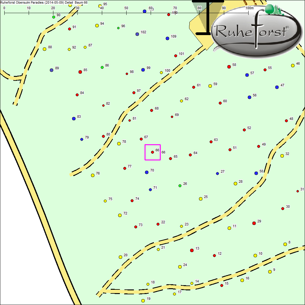Detailkarte zu Baum 66