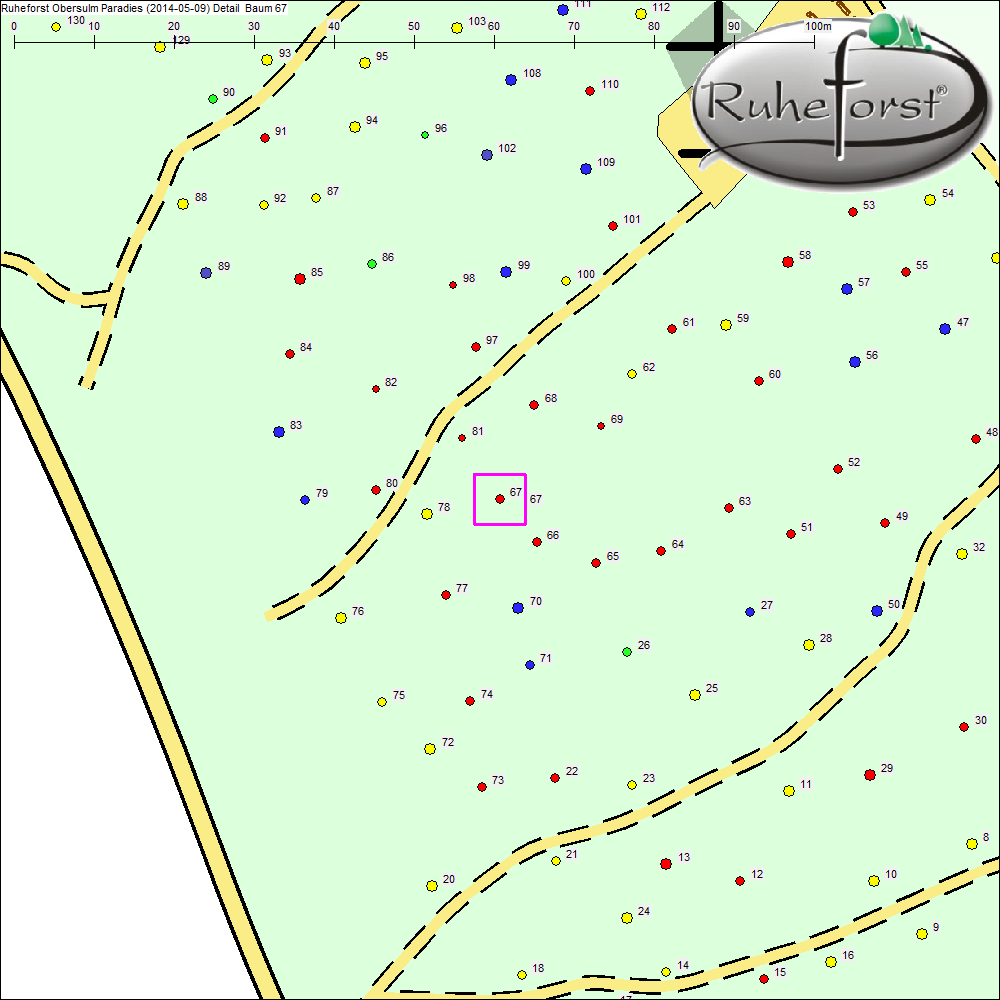 Detailkarte zu Baum 67
