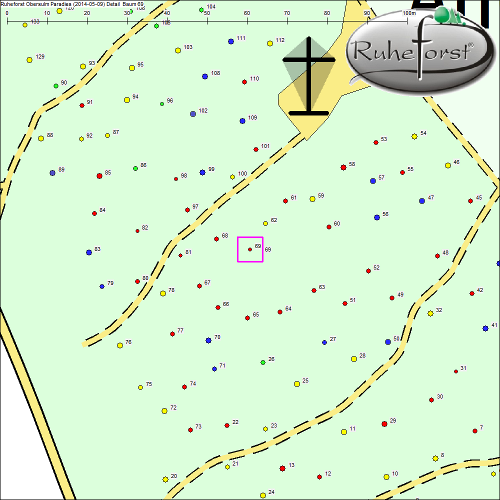 Detailkarte zu Baum 69