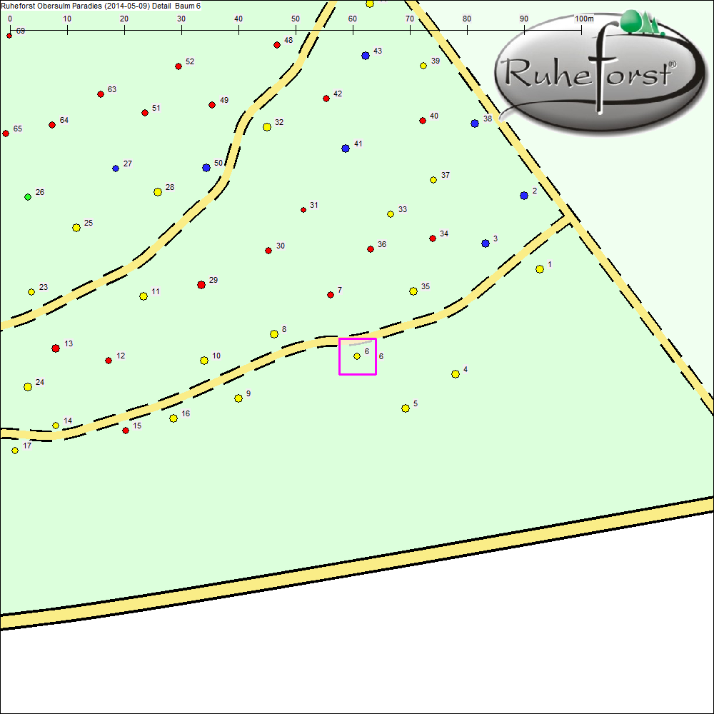 Detailkarte zu Baum 6