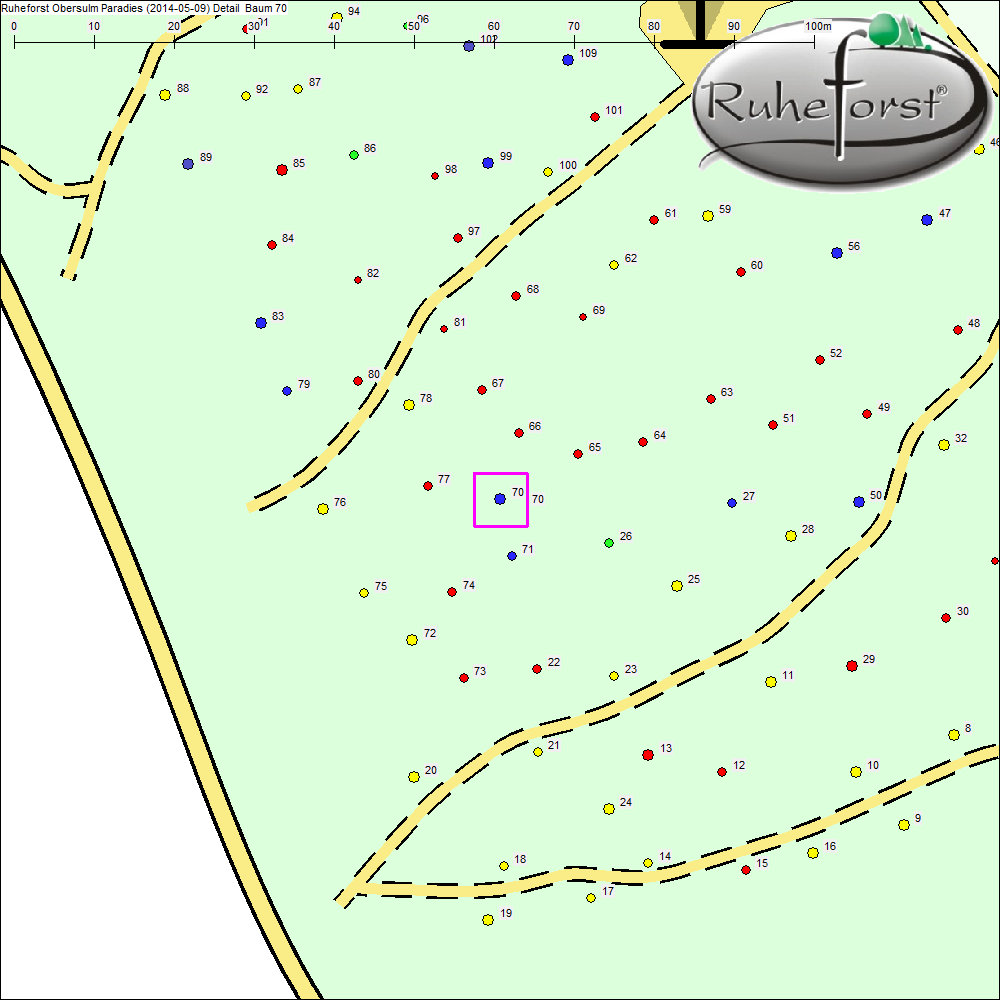 Detailkarte zu Baum 70