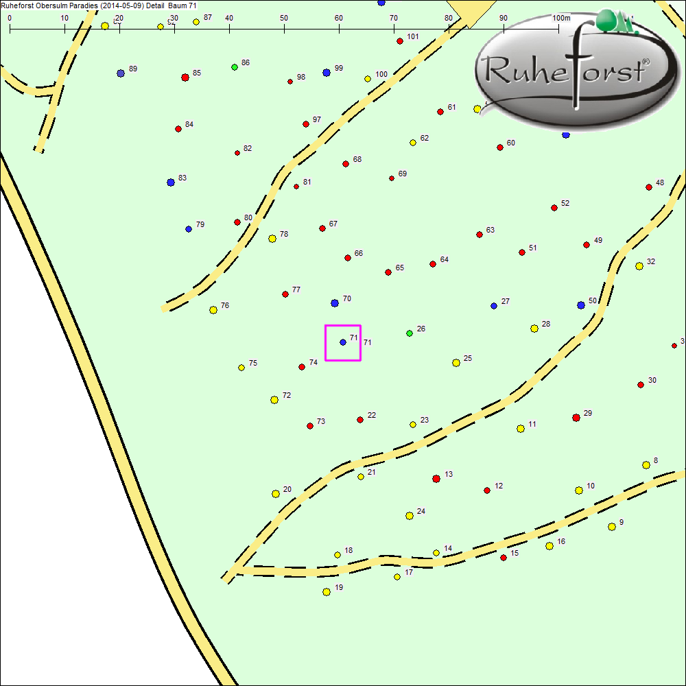 Detailkarte zu Baum 71