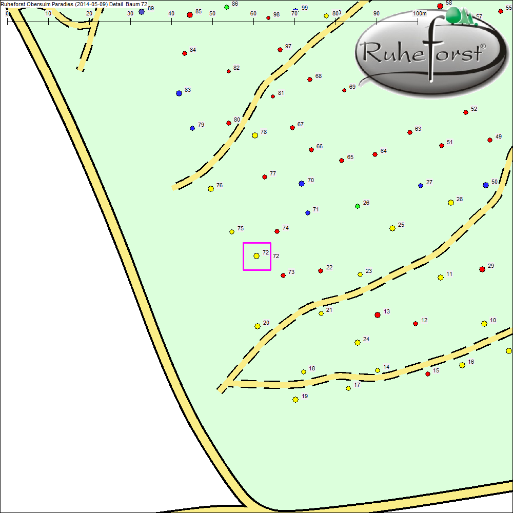 Detailkarte zu Baum 72