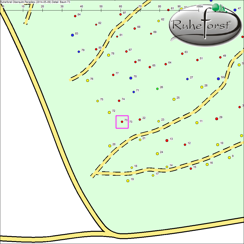 Detailkarte zu Baum 73