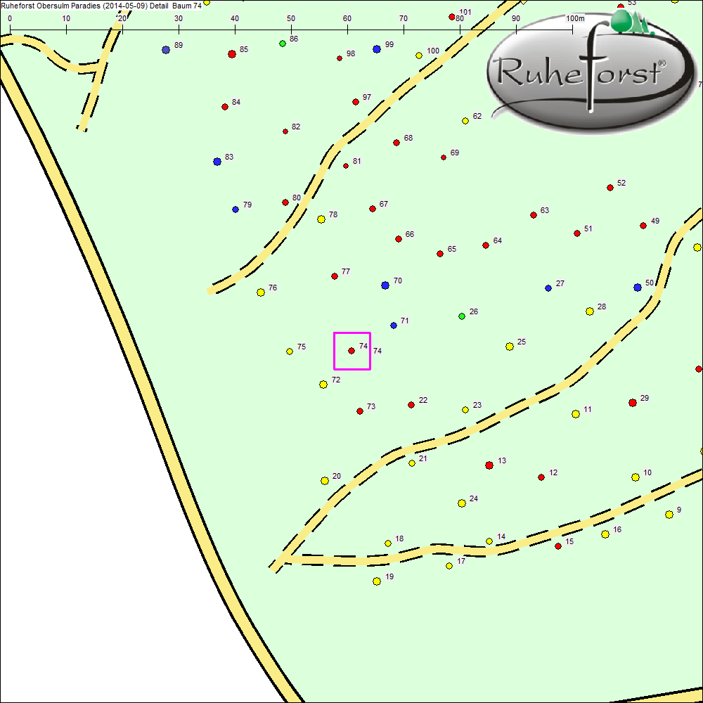 Detailkarte zu Baum 74