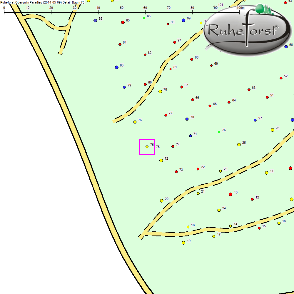Detailkarte zu Baum 75
