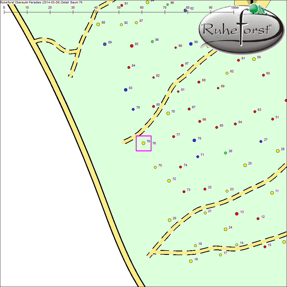 Detailkarte zu Baum 76