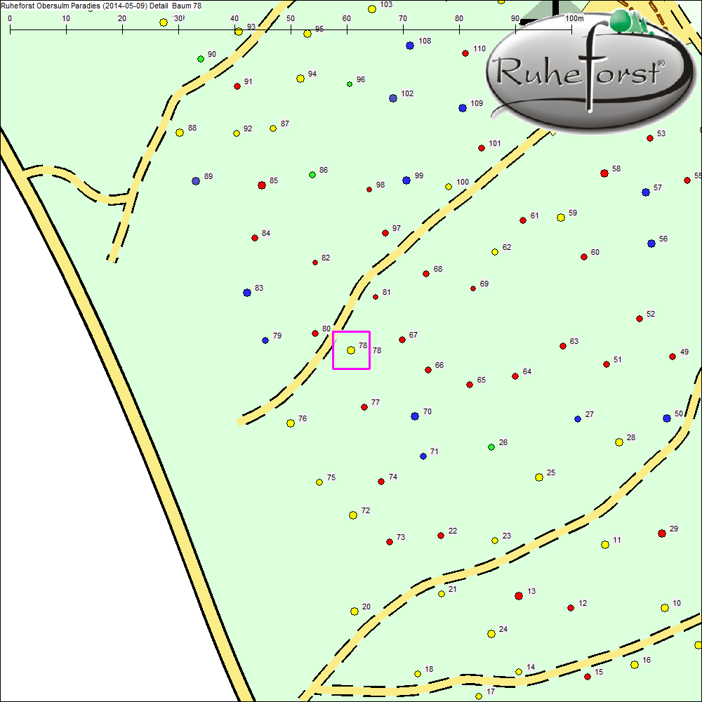 Detailkarte zu Baum 78