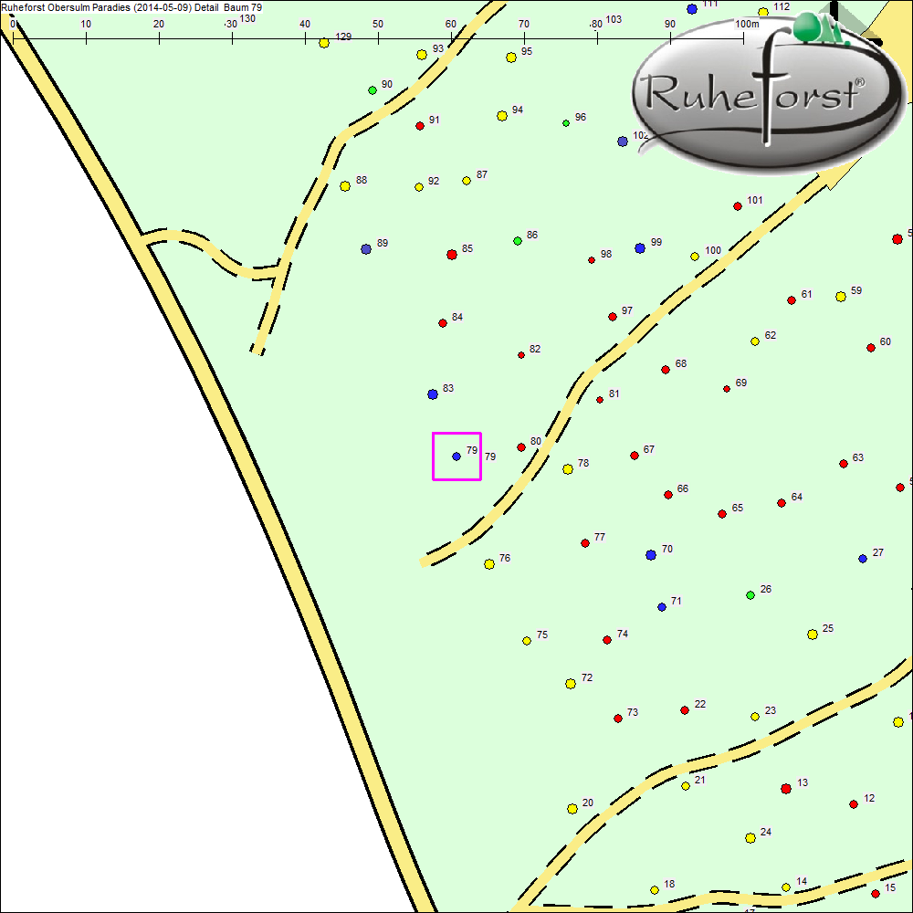 Detailkarte zu Baum 79