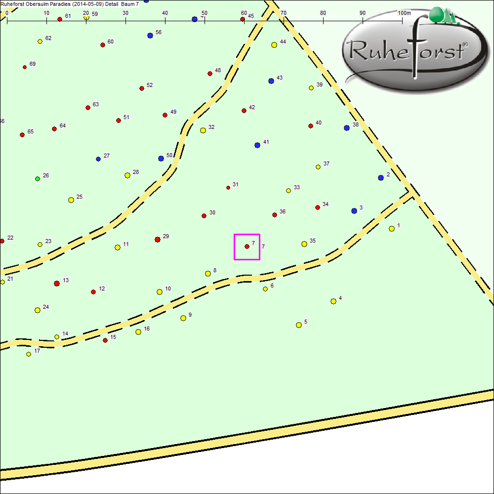 Detailkarte zu Baum 7