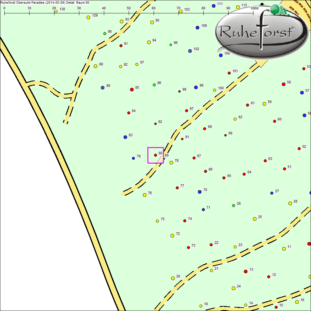 Detailkarte zu Baum 80