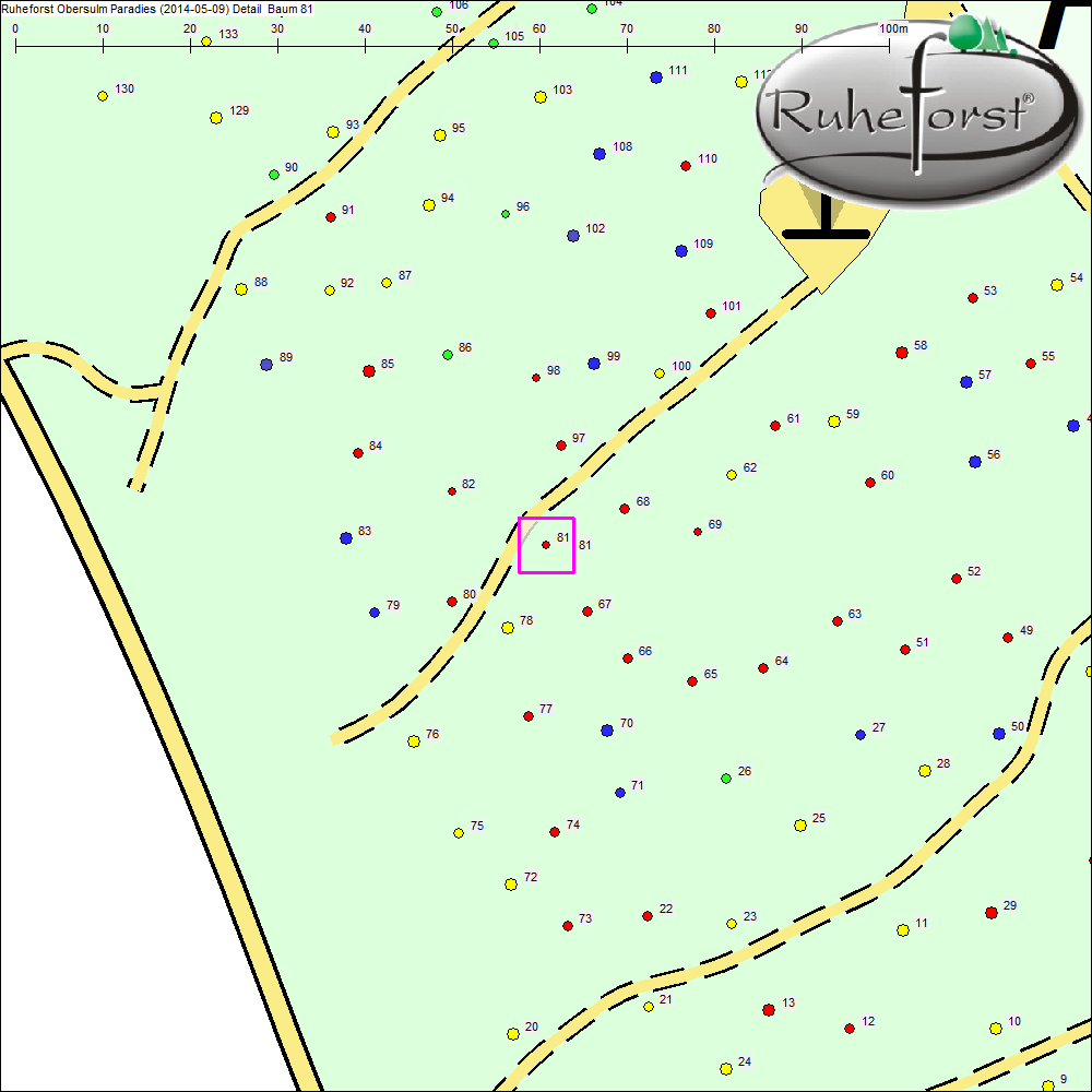 Detailkarte zu Baum 81
