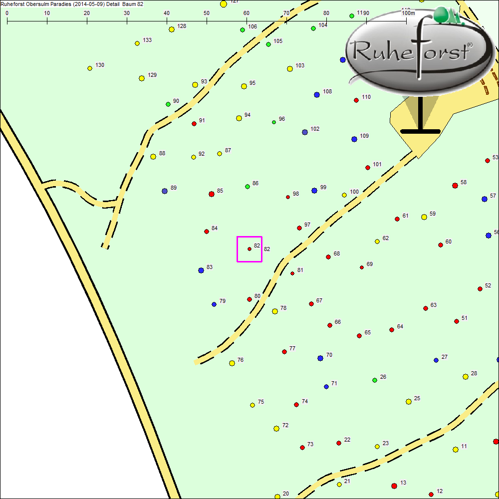 Detailkarte zu Baum 82