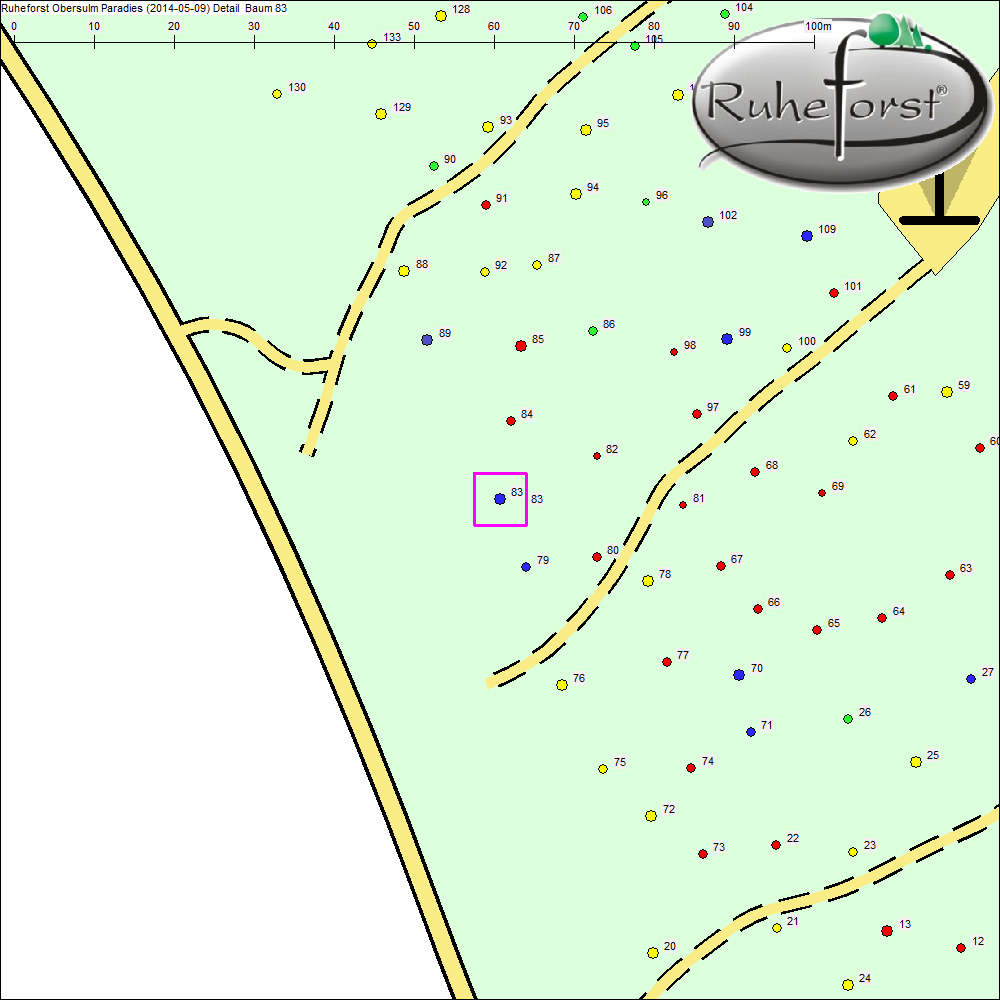 Detailkarte zu Baum 83