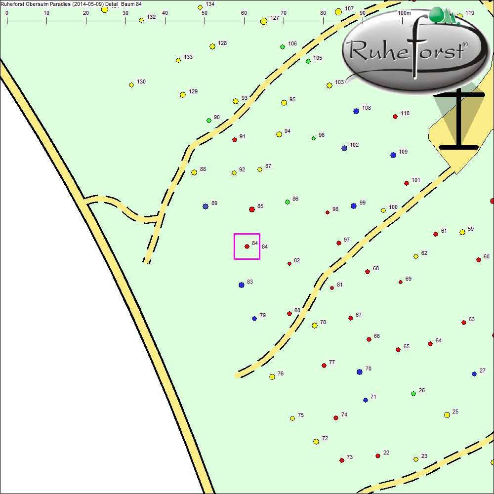 Detailkarte zu Baum 84