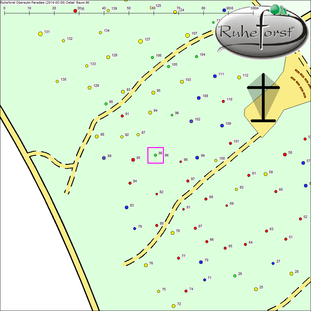 Detailkarte zu Baum 86