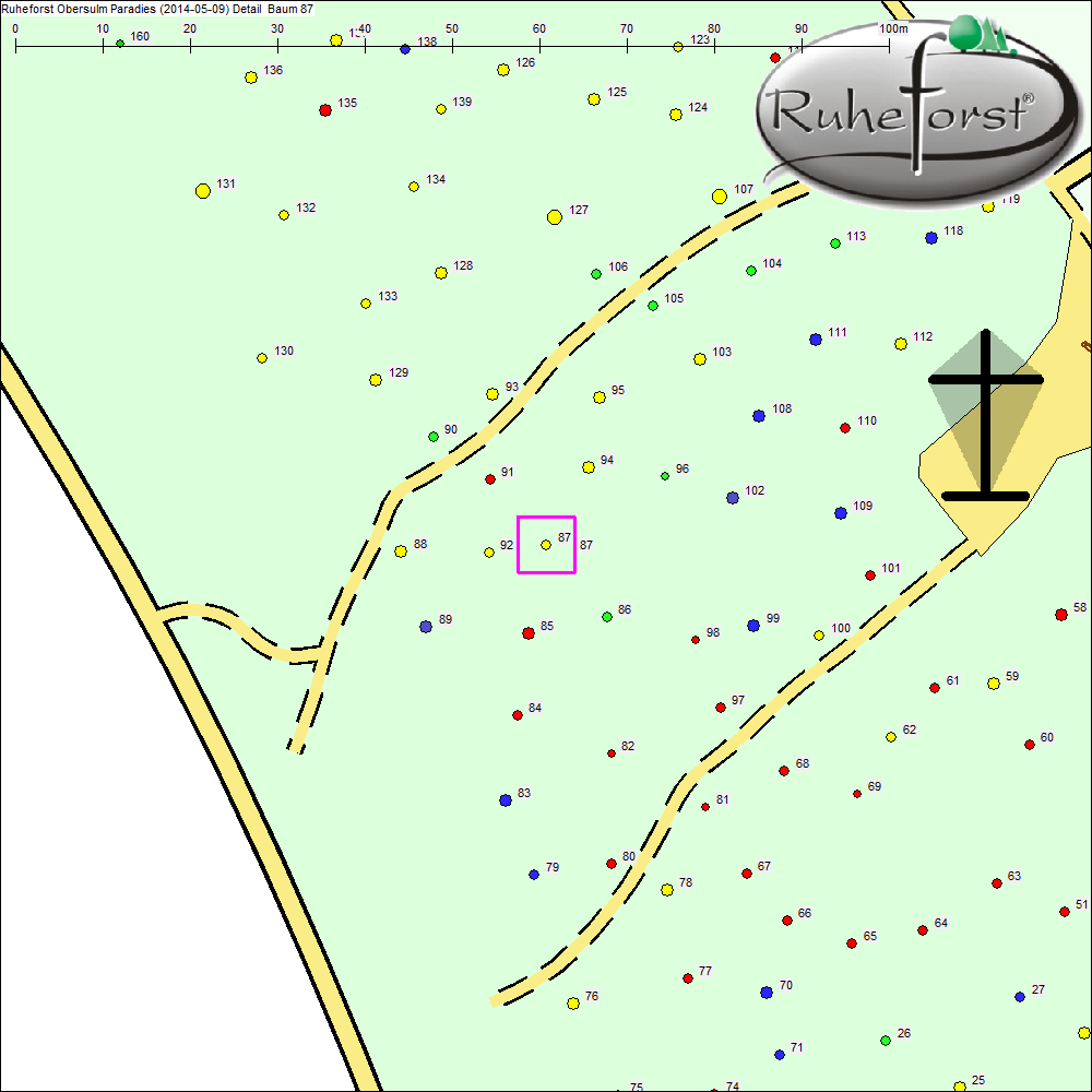 Detailkarte zu Baum 87