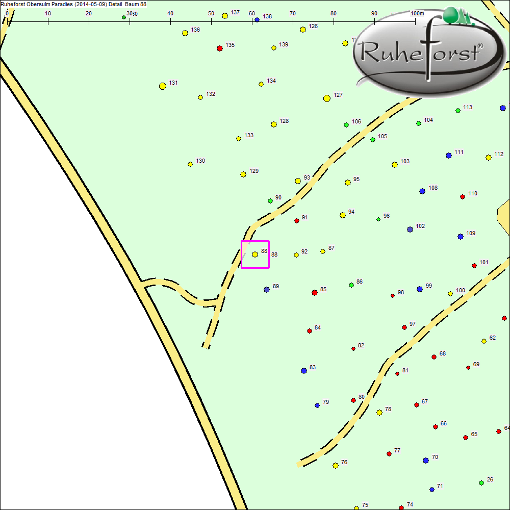 Detailkarte zu Baum 88