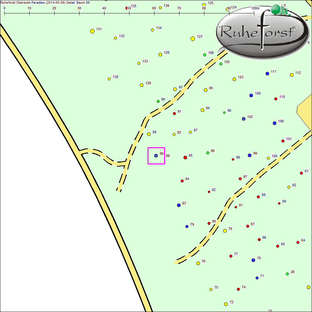 Detailkarte zu Baum 89