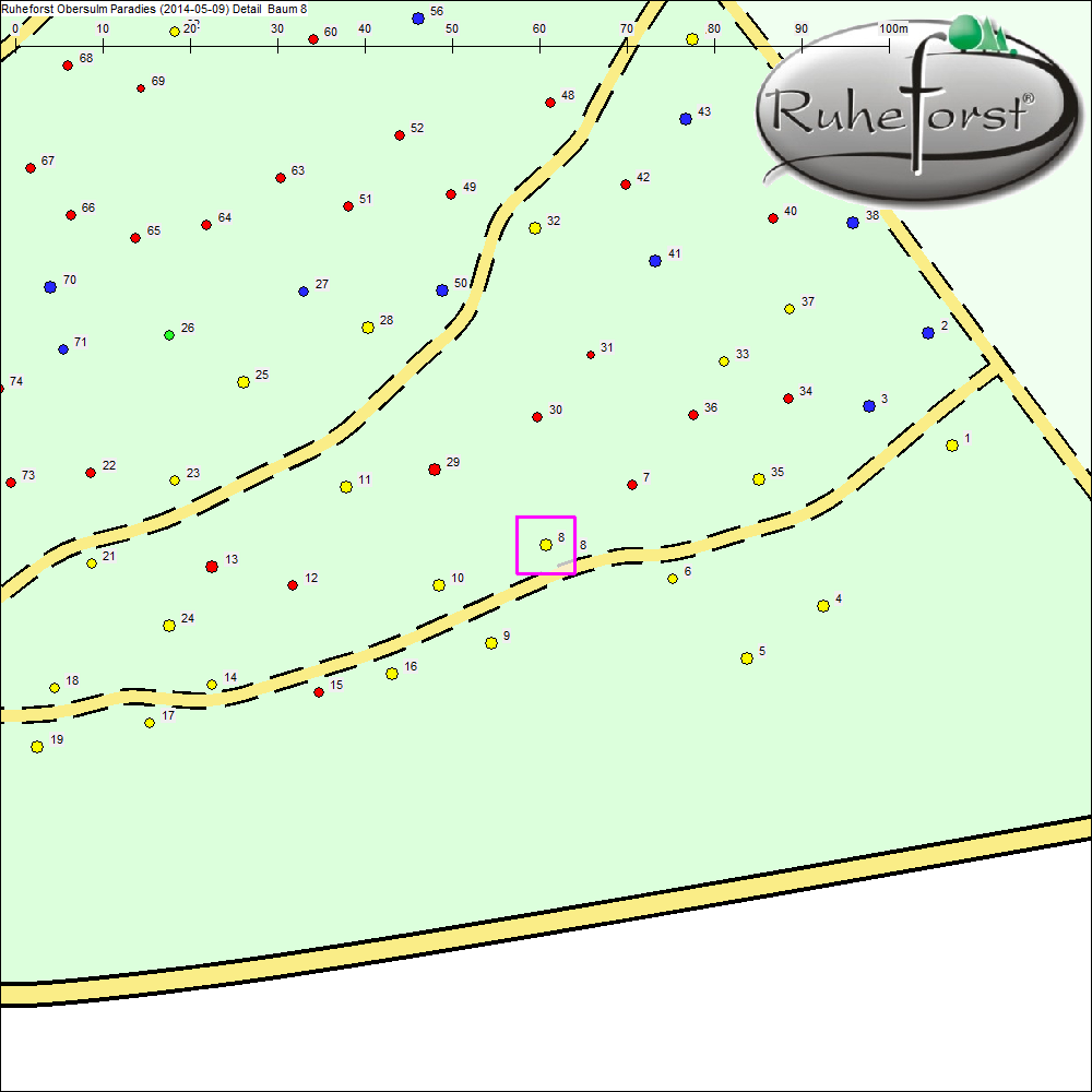 Detailkarte zu Baum 8
