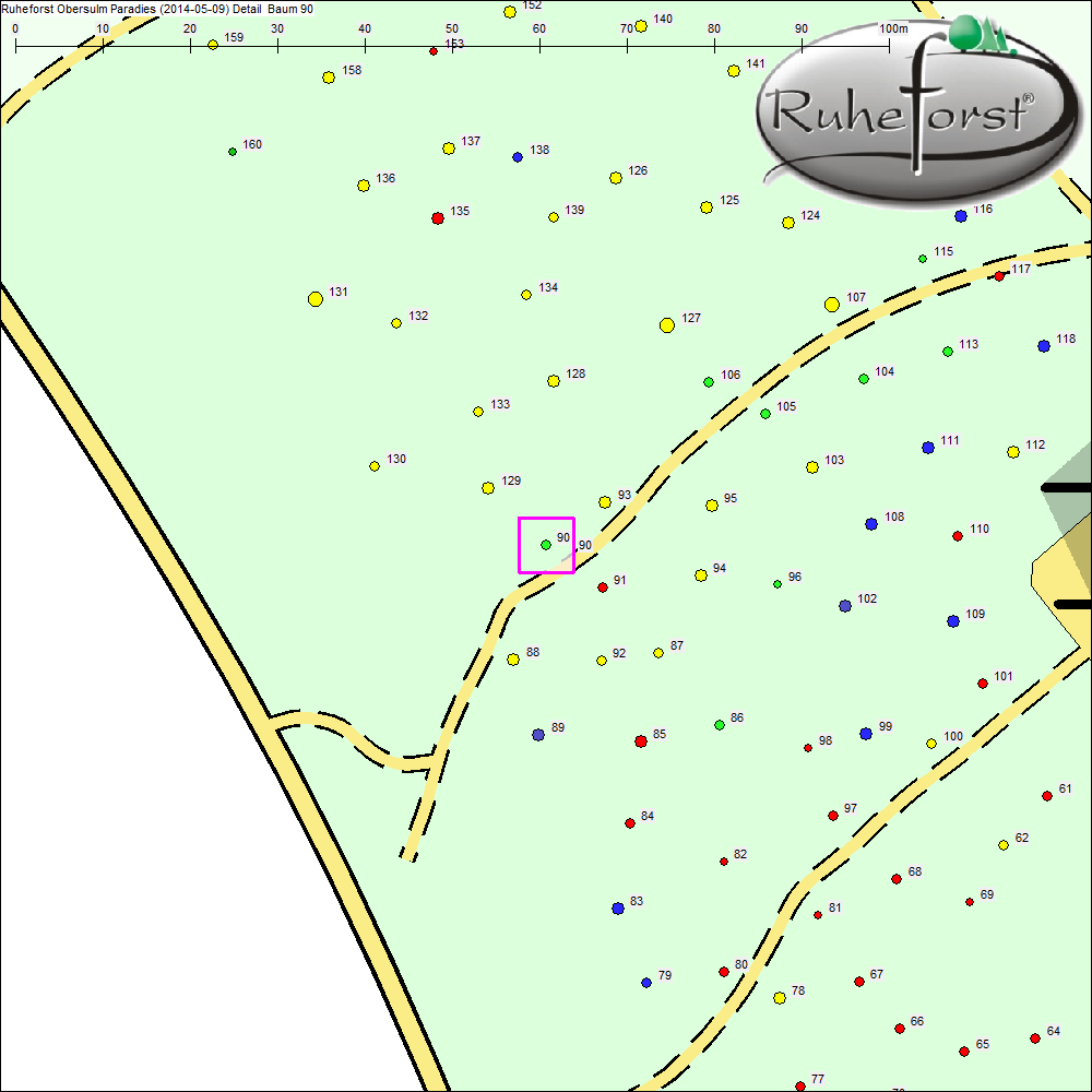 Detailkarte zu Baum 90
