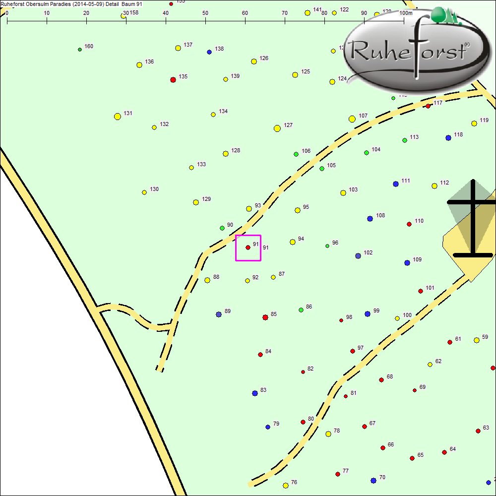 Detailkarte zu Baum 91