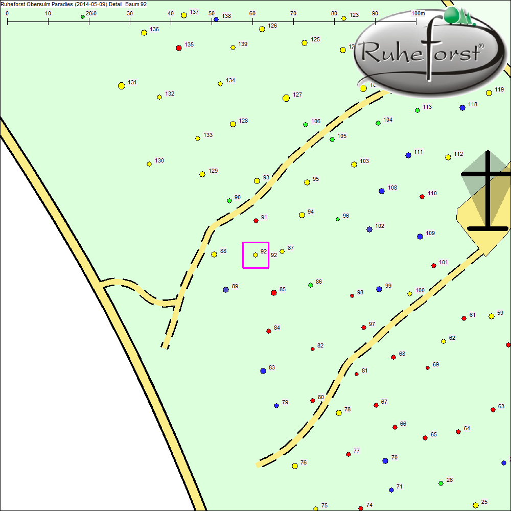 Detailkarte zu Baum 92
