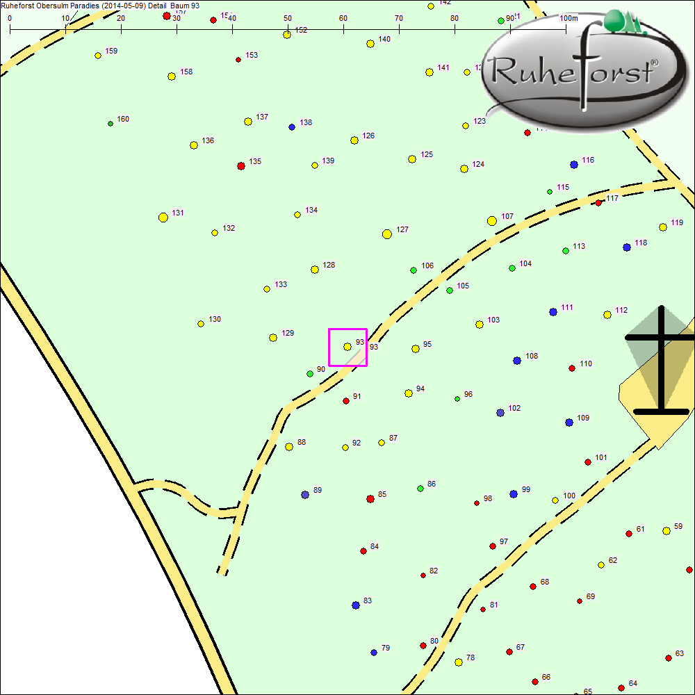 Detailkarte zu Baum 93