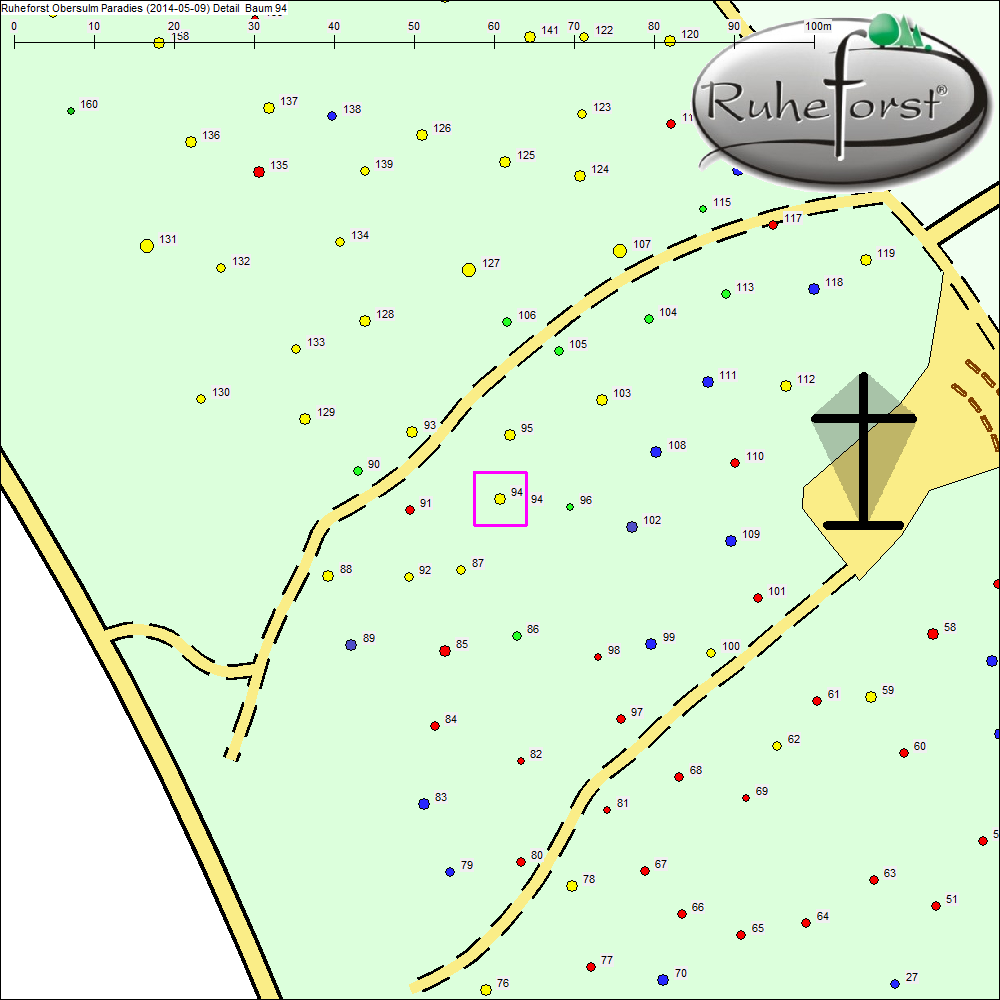 Detailkarte zu Baum 94