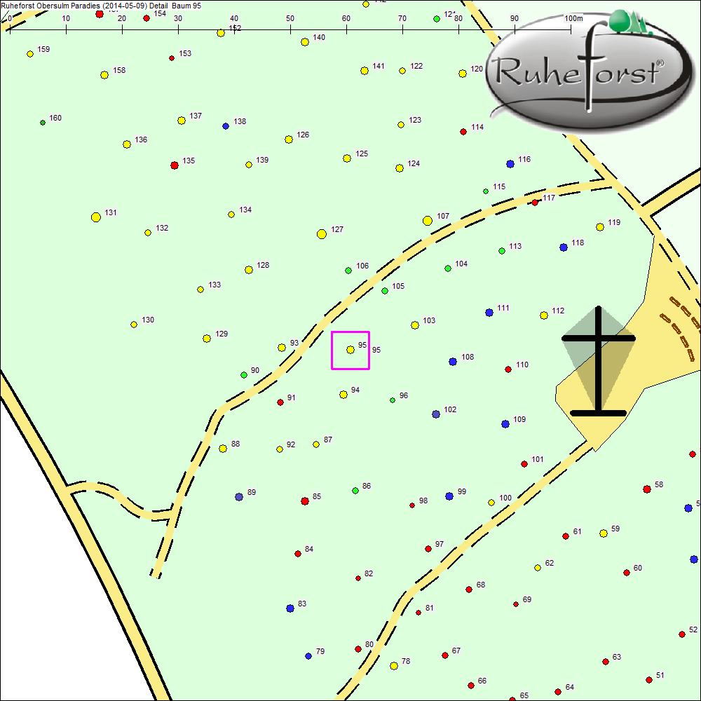 Detailkarte zu Baum 95