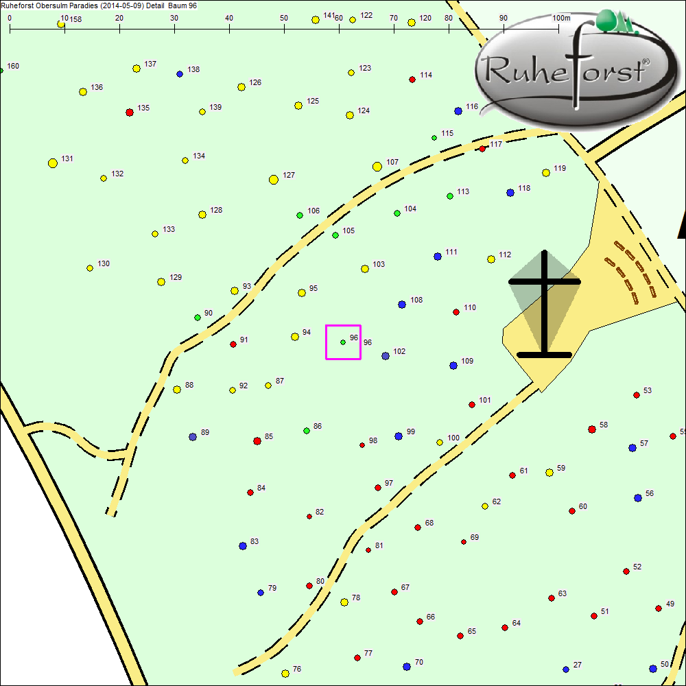 Detailkarte zu Baum 96