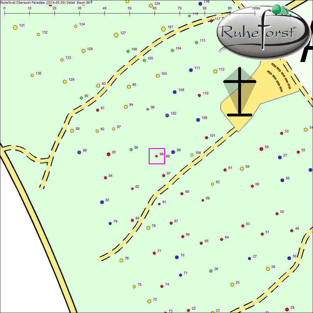 Detailkarte zu Baum 98