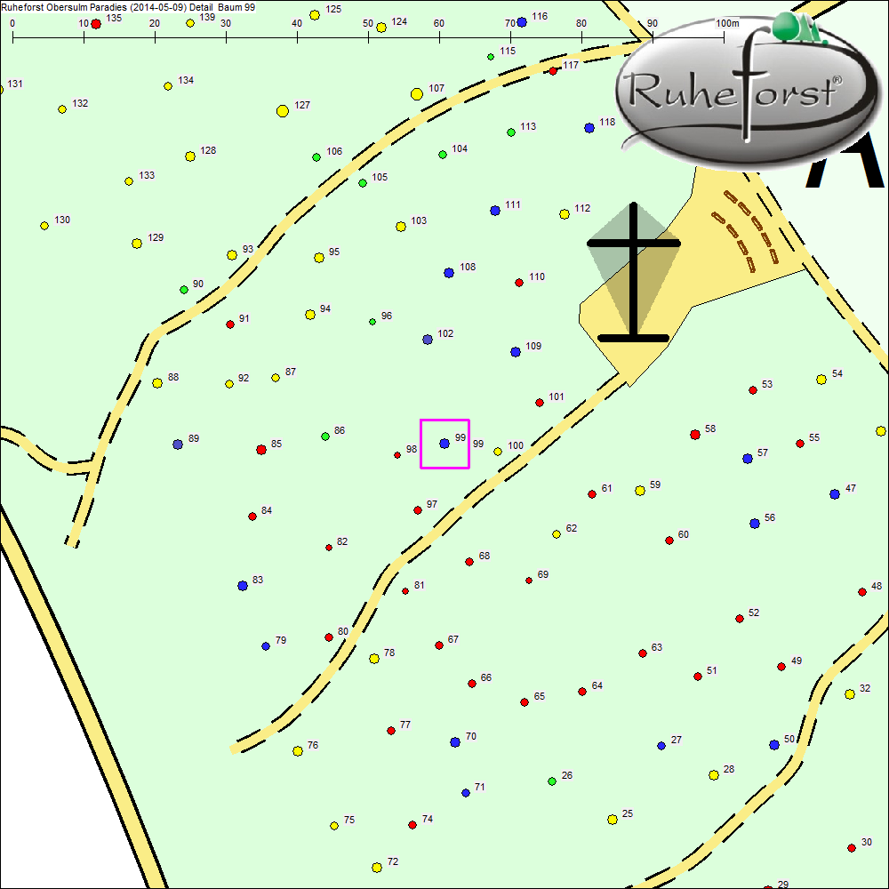 Detailkarte zu Baum 99