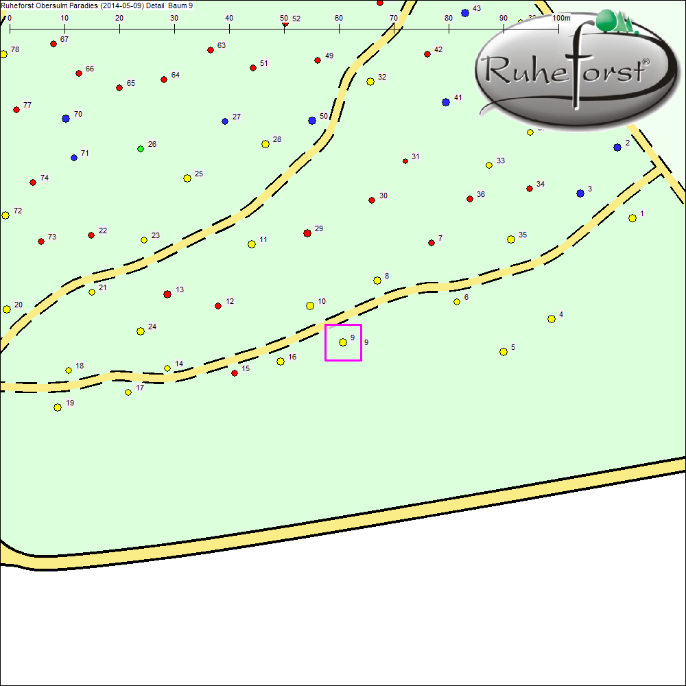 Detailkarte zu Baum 9